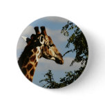 Giraffe wildlife safari buttons