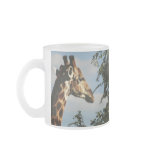 Giraffe wildlife safari mugs & cups