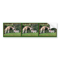 Giraffe Zebra Christmas Bumper Stickers