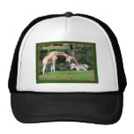 Giraffe Zebra Christmas Mesh Hat