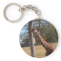 Giraffe Zkids Keychains