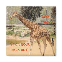 giraffee fridge magnets