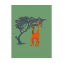 Giraffen giraffes postkarte