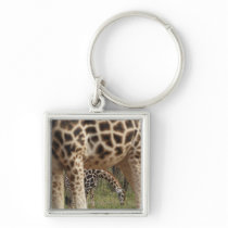 Giraffes 2 key chain