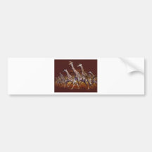 Giraffes-A-Running Bumper Stickers
