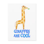 Giraffes are COOL Postcards