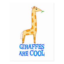 Giraffes are COOL Postcards