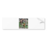 Giraffes Bumper Sticker