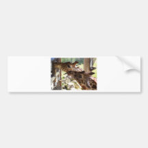Giraffes Bumper Stickers