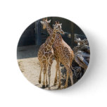 giraffes buttons
