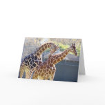 Giraffes in Love cards