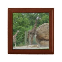 GIRAFFES KEEPSAKE BOX
