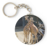 giraffes keychains