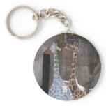 Giraffes keychains
