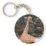 Giraffes Keychains