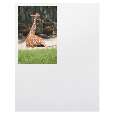 Giraffes Letterhead Template by Incatneato