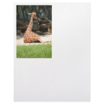 Giraffes letterhead