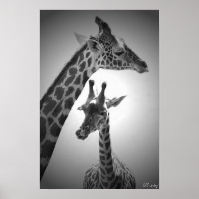 giraffes, mother and child print by eunicorn