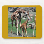 Giraffes Mouse Pads