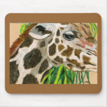 giraffes