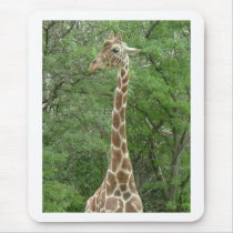 Giraffes Mouse Pad