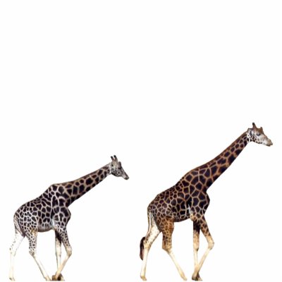giraffes photo cut outs by GeoKip