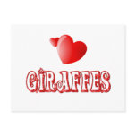 Giraffes Post Cards