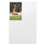 Giraffes stationery