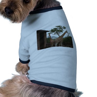Giraffes Sydney Opera House Taronga Zoo Australia Doggie T Shirt by AndyPo