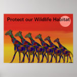 Giraffes Wildlife Habitat Poster