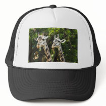 Giraffes X 2 Trucker Hat
