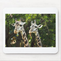 Giraffes X 2 Mouse Pads