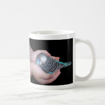Girl holding baby budgie mugs