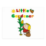 Girl Little Gardener Tshirts and Gifts Postcard