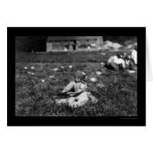 Girl Picking Cranberries Near Rochester, MA 1910 Greeting Cards