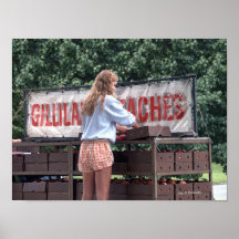 Girl Selling Peaches Posters