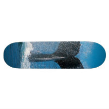 girl skate bored or child boy skate decks
