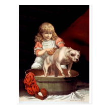 Girl Washing her Pet Dog Post Card