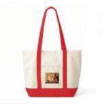 Girl with Pet Sheltie Tote Bag