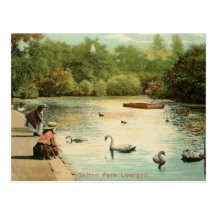 Girls Feeding Swans, Liverpool UK 1904 Vintage Postcard