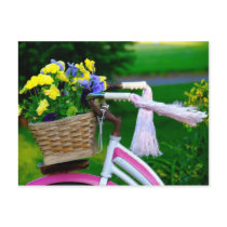 Girls Just Wanna Have Fun, Pink Girls Bicycle Postcards