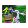 Girls Just Wanna Have Fun, Pink Girls Bicycle Postcards