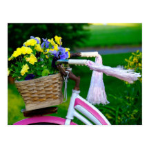Girls Just Wanna Have Fun, Pink Girls Bicycle Postcards