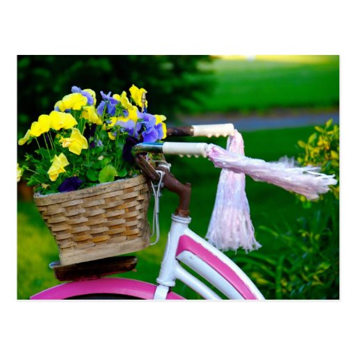Girls Just Wanna Have Fun, Pink Girls Bicycle Postcards