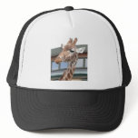 Girraffe Mesh Hats