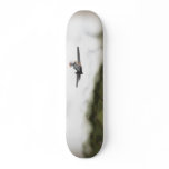Give em hell skate decks