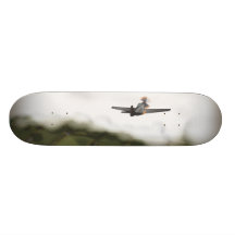 Give em hell skate decks
