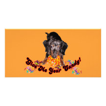 Give Me Your Candy Dachshund and Candy Customized Photo Card