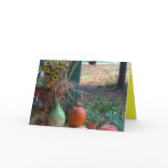 Give Thanks cards