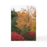 Giving Thanks Thanksgiving Cards